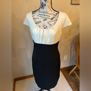 Cream and Black London Times Dress
